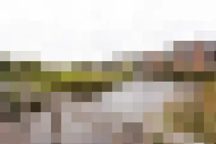 Mientekade 76 Halfweg thumbnail 30