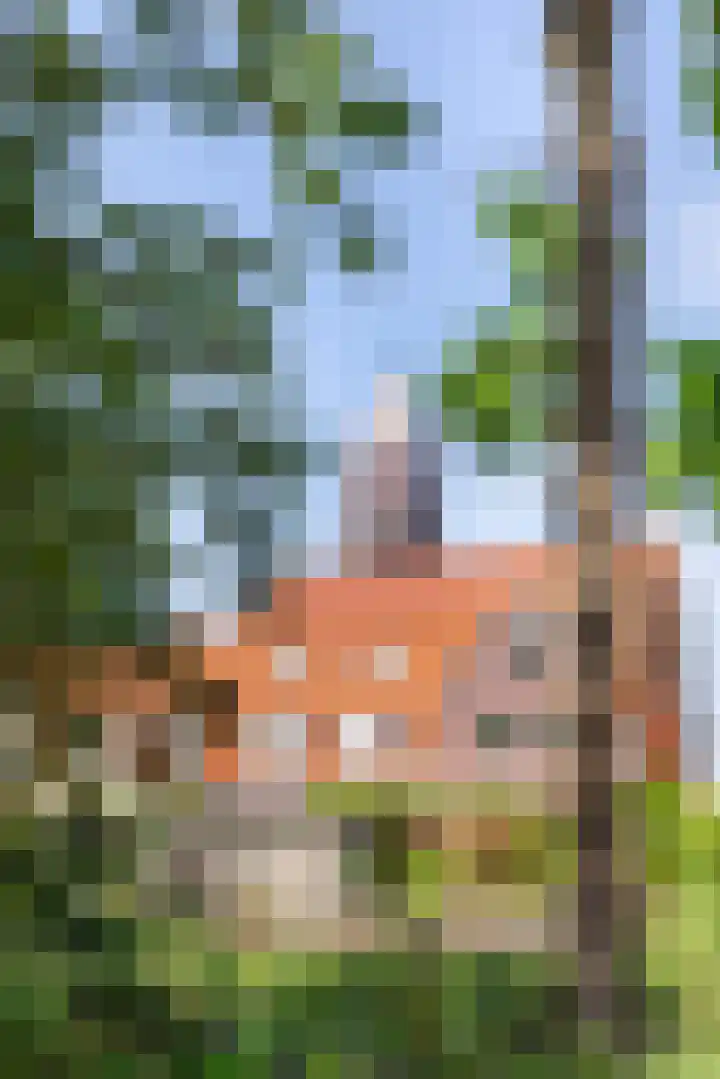 Mientekade 76 Halfweg thumbnail 35