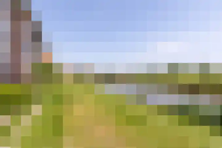 Mientekade 76 Halfweg thumbnail 36