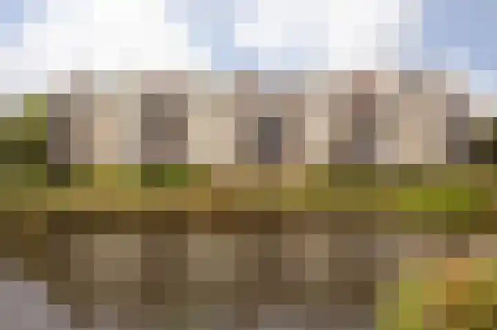 Mientekade 76 Halfweg thumbnail 5
