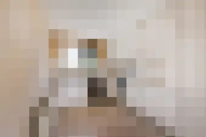 Mientekade 76 Halfweg thumbnail 8