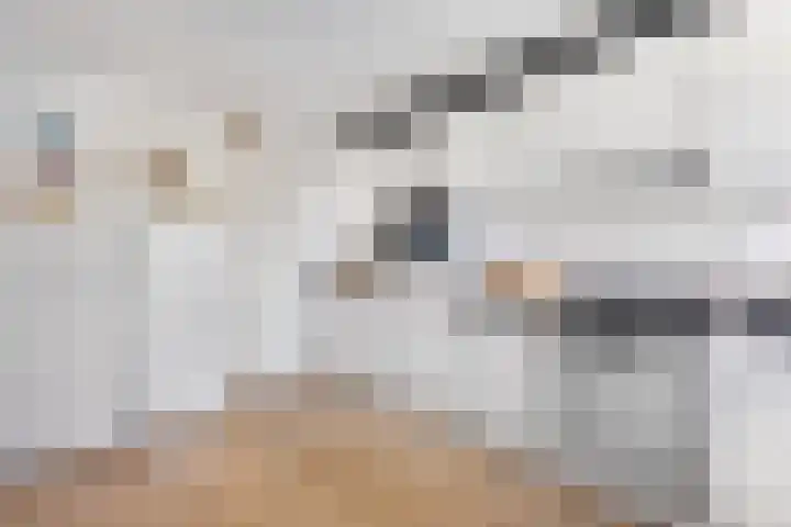 Mientekade 77 Halfweg thumbnail 13