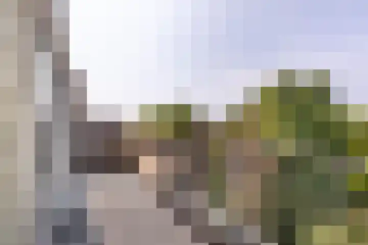 Mientekade 77 Halfweg thumbnail 22