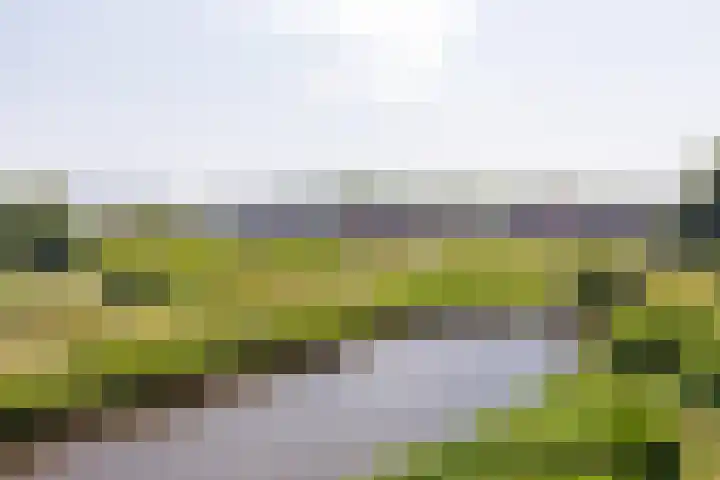 Mientekade 77 Halfweg thumbnail 24