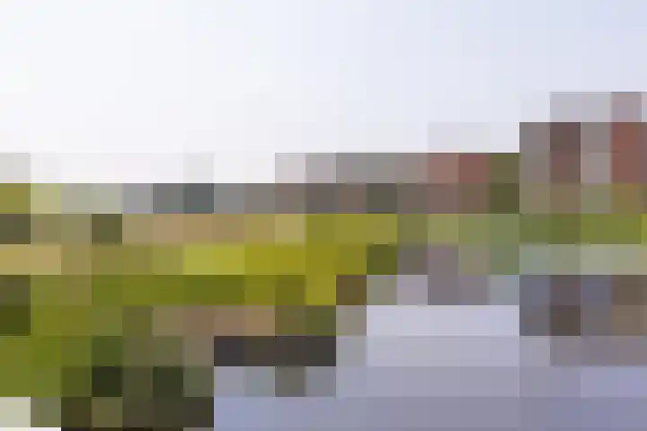 Mientekade 77 Halfweg thumbnail 30