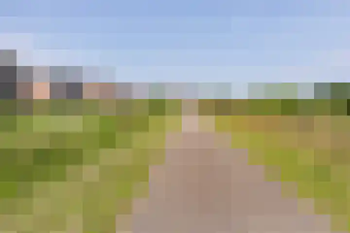Mientekade 77 Halfweg thumbnail 32