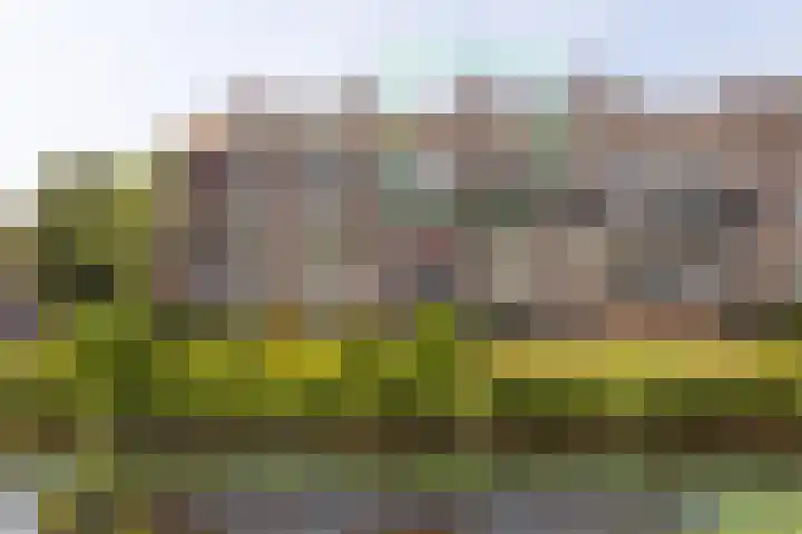 Mientekade 77 Halfweg thumbnail 43