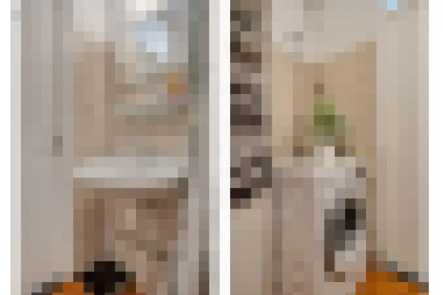 Mientlân 22 IJlst thumbnail 11