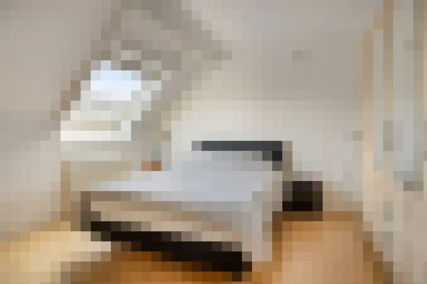 Mientlân 22 IJlst thumbnail 15