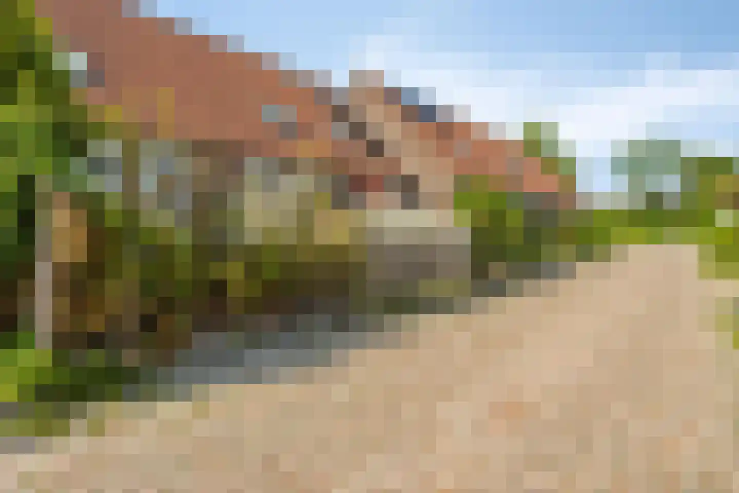Mientlân 22 IJlst thumbnail 23