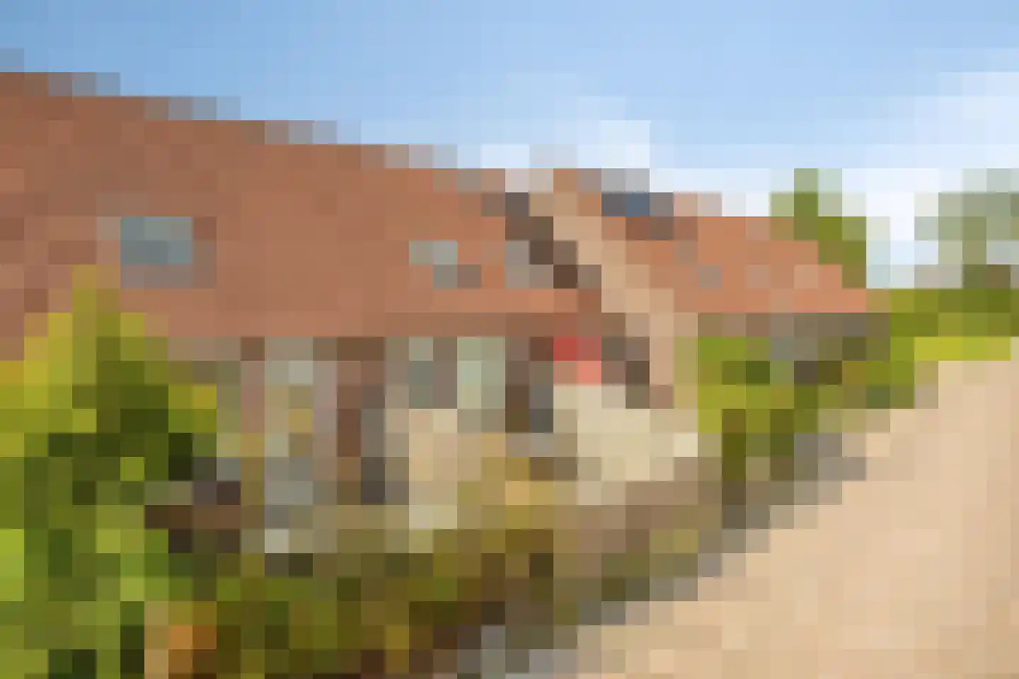 Mientlân 22 IJlst thumbnail 24