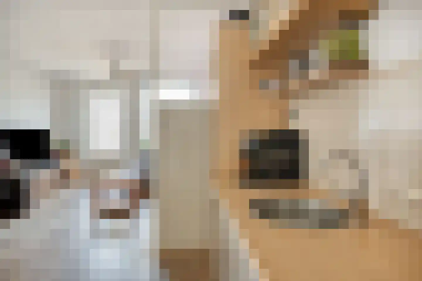 Mientlân 22 IJlst thumbnail 8