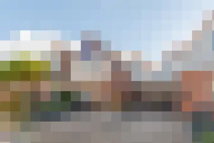 Mientlân 37 dans IJlst