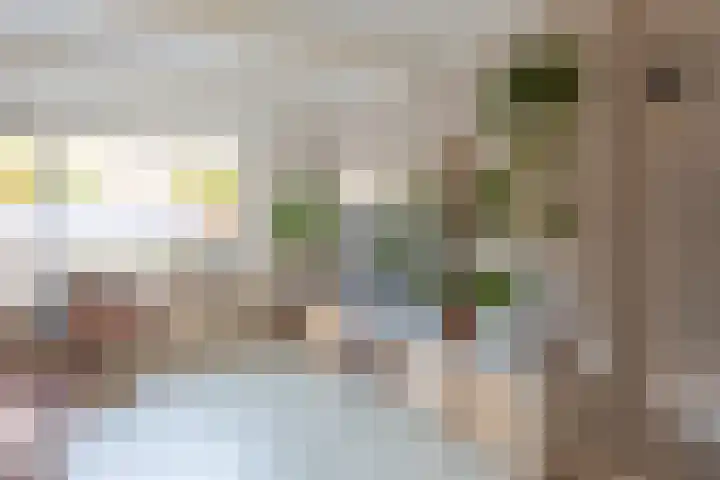 Mientlân 37 IJlst thumbnail 10