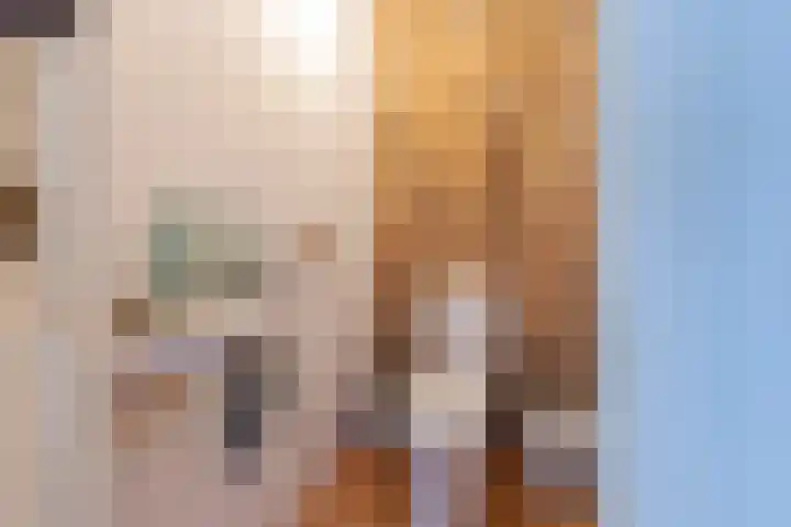 Mientlân 37 IJlst thumbnail 19