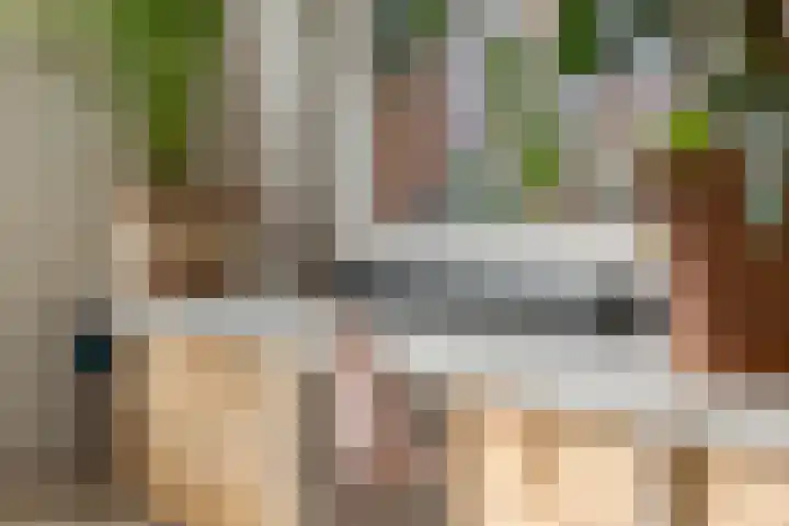 Mientlân 37 IJlst foto 2