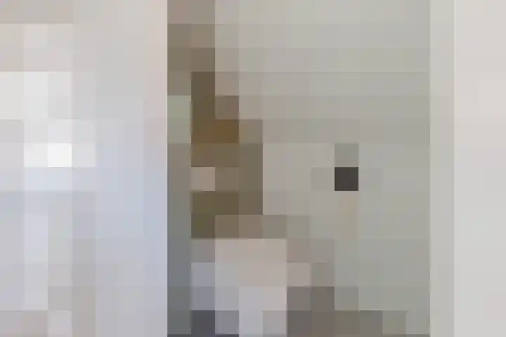 Mientlân 37 IJlst thumbnail 31