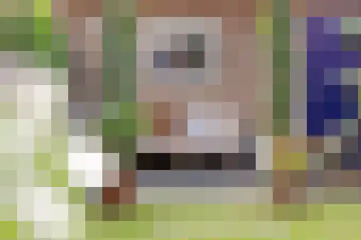 Mientlân 37 IJlst thumbnail 34