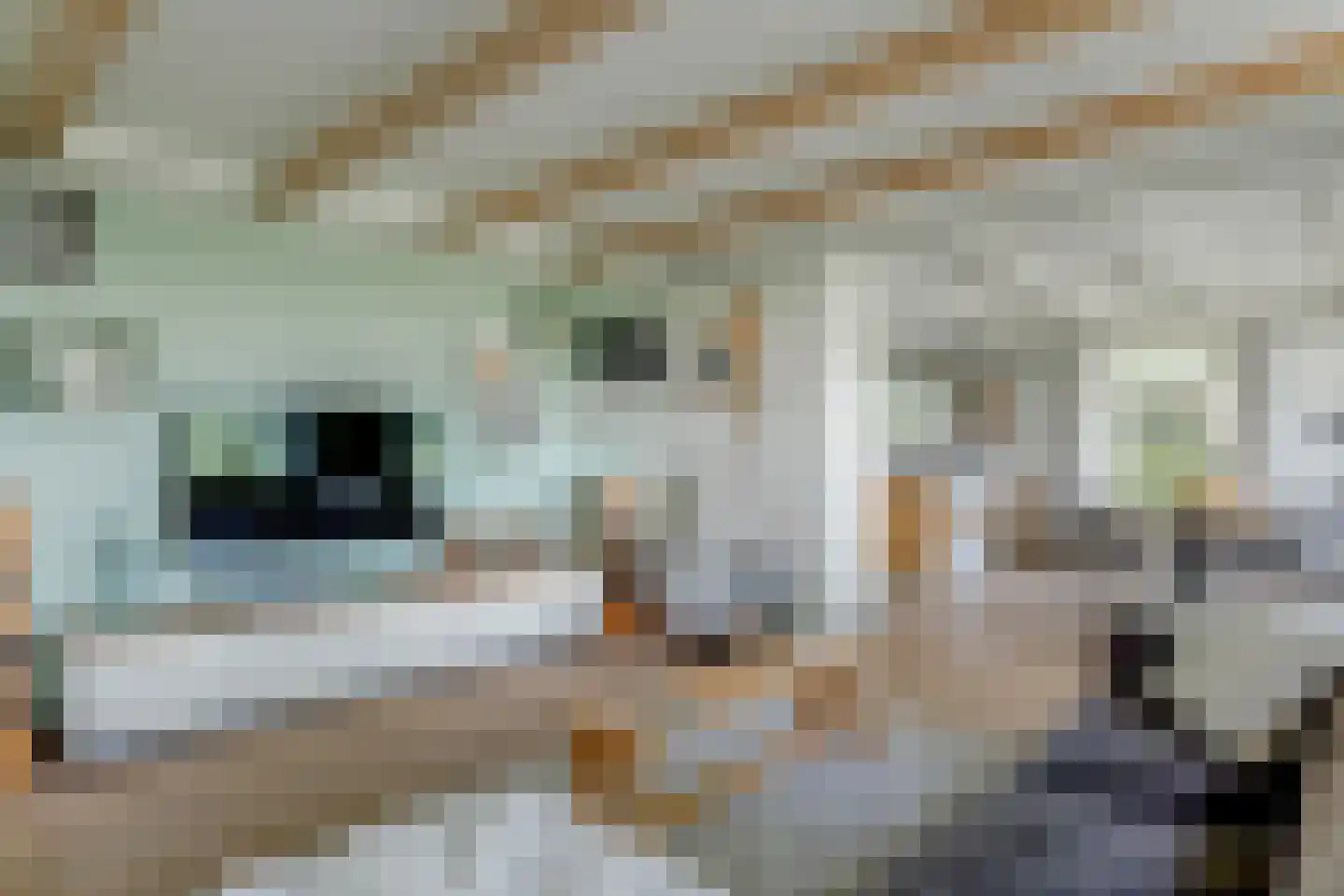 Mientweg 56 Lutjewinkel thumbnail 15