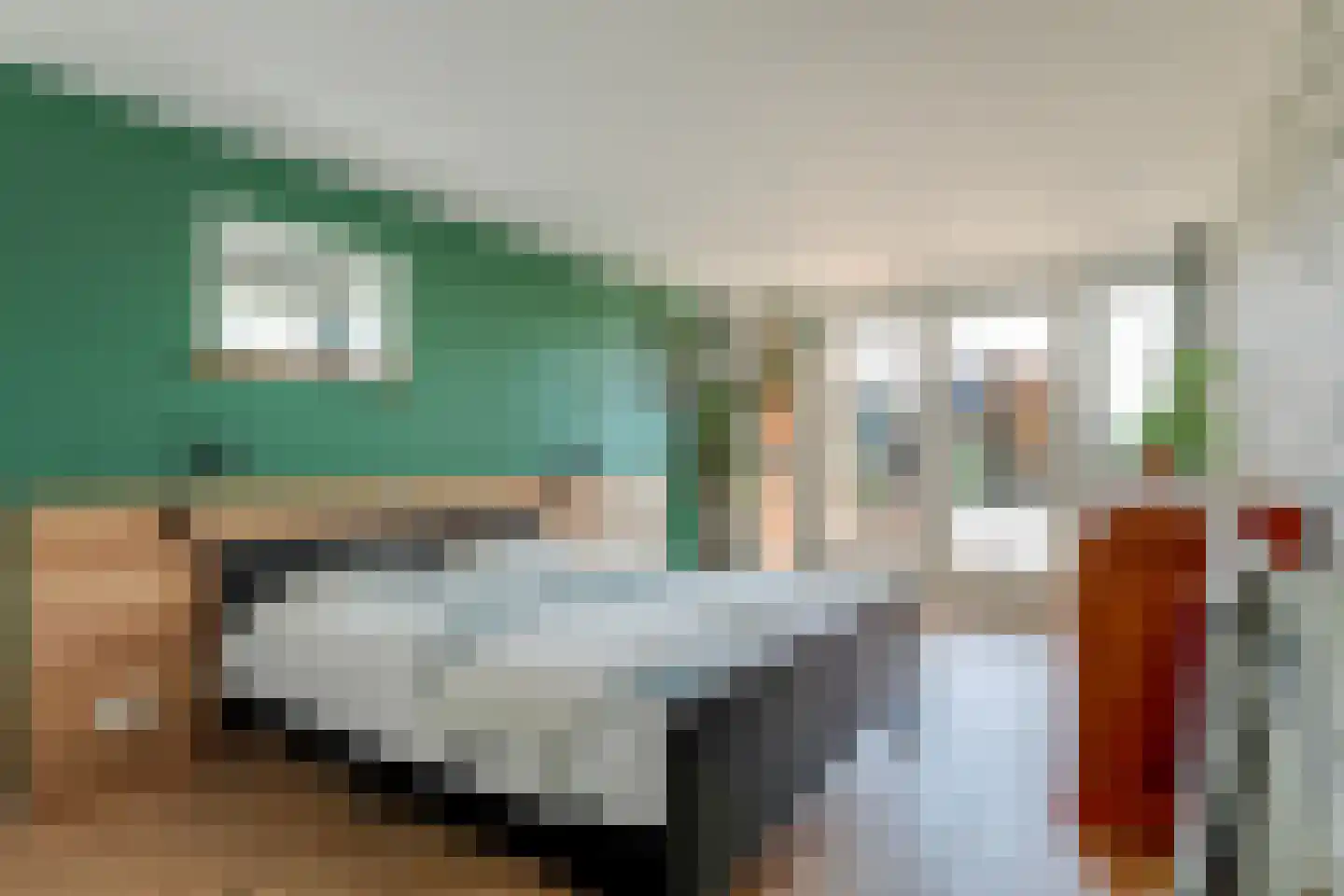 Mientweg 56 Lutjewinkel thumbnail 27