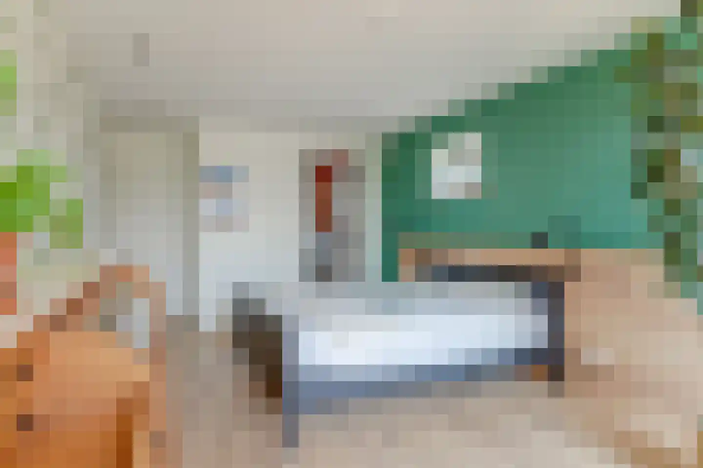 Mientweg 56 Lutjewinkel thumbnail 30