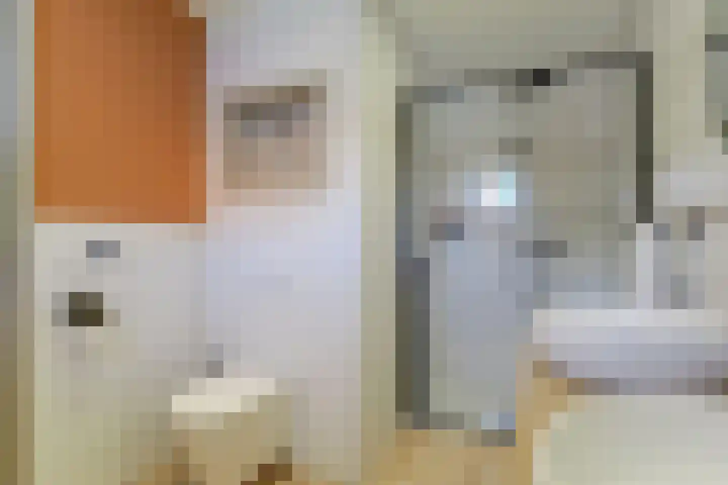 Mientweg 56 Lutjewinkel thumbnail 32