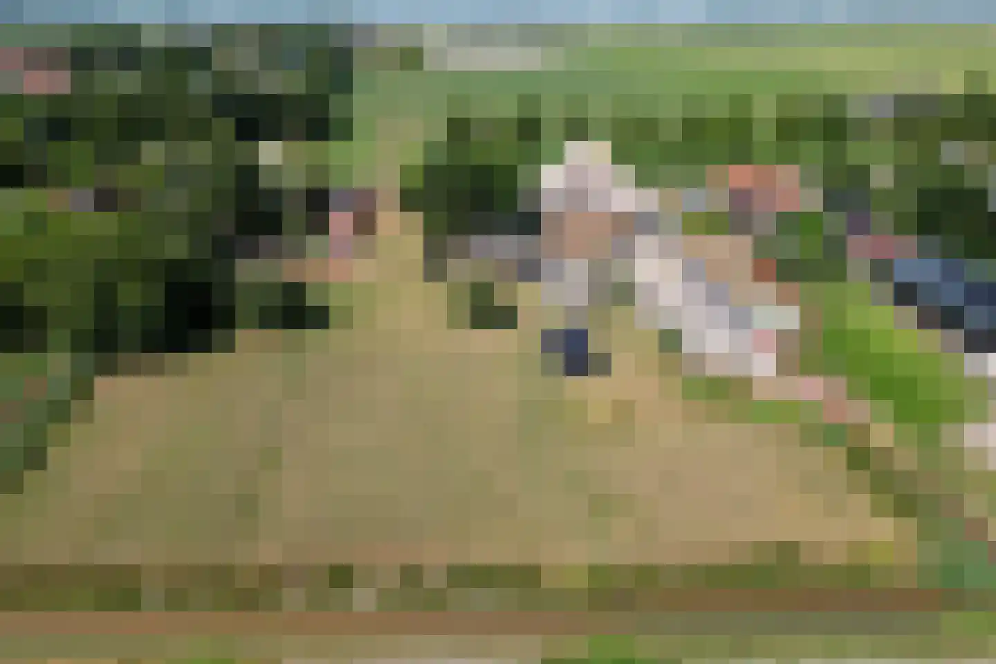 Mientweg 56 Lutjewinkel thumbnail 4