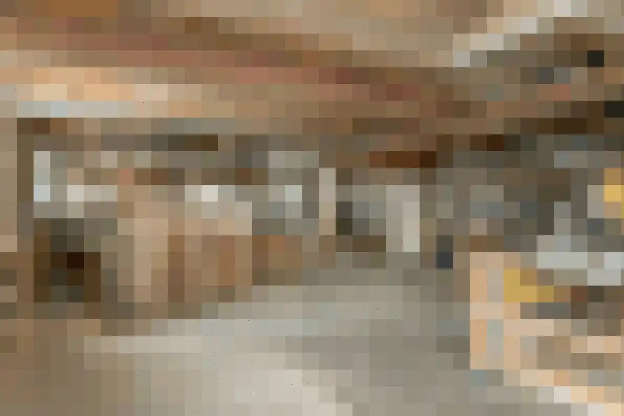 Mientweg 56 Lutjewinkel thumbnail 41