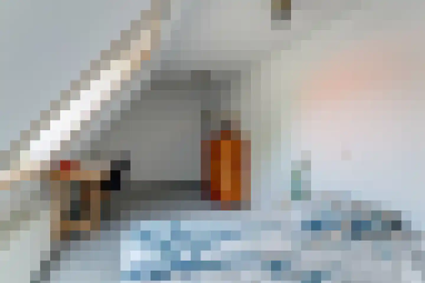 Mientweg 56 Lutjewinkel thumbnail 49
