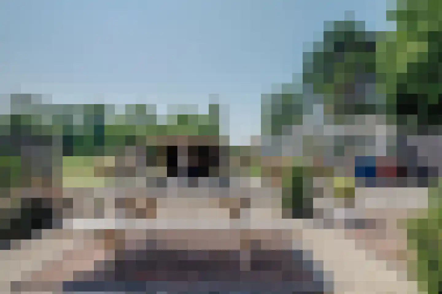 Mientweg 56 Lutjewinkel thumbnail 56