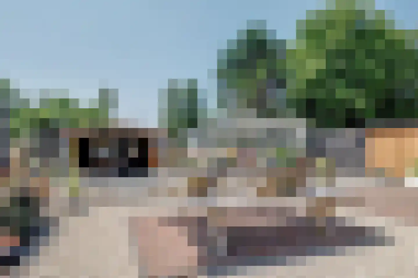 Mientweg 56 Lutjewinkel thumbnail 64