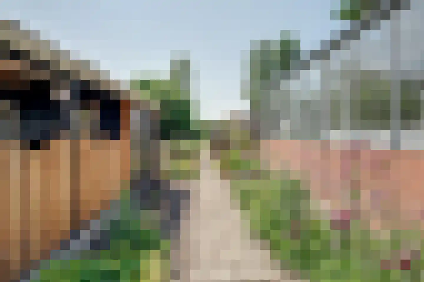 Mientweg 56 Lutjewinkel thumbnail 65