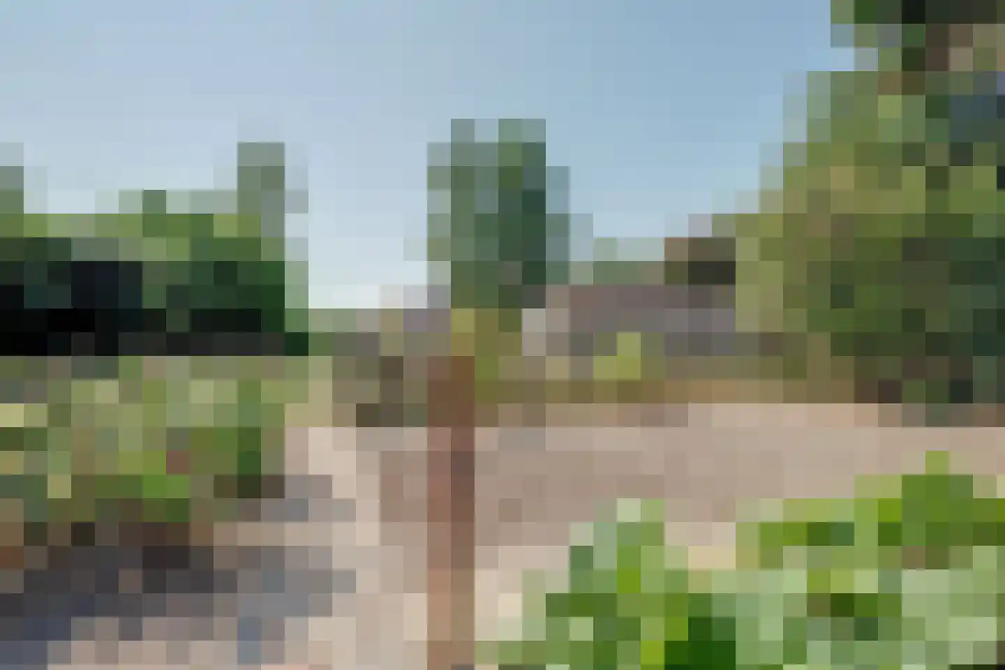 Mientweg 56 Lutjewinkel thumbnail 66