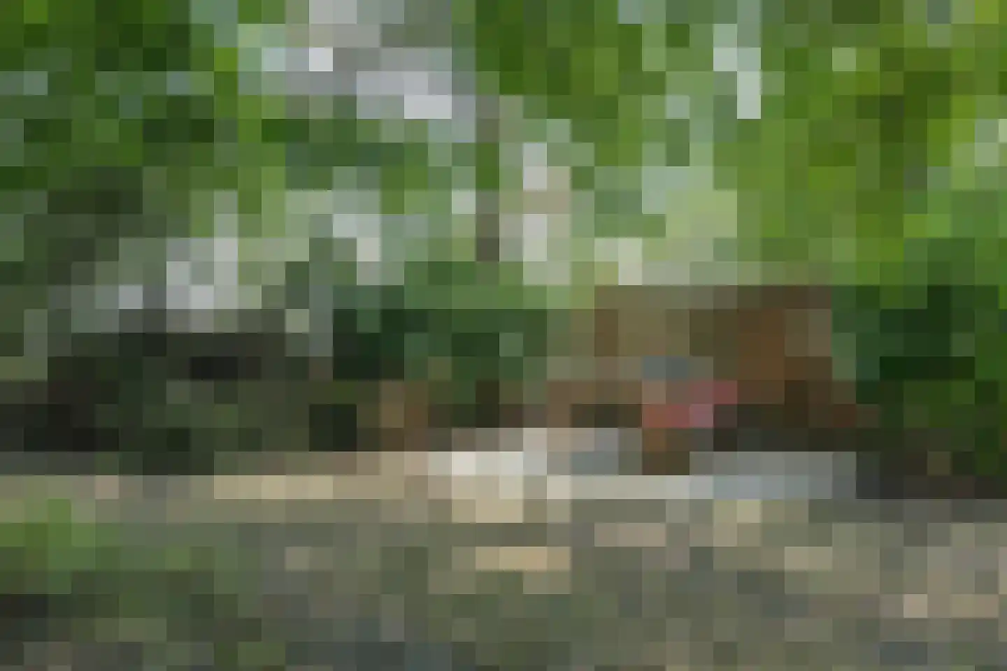 Mientweg 56 Lutjewinkel thumbnail 67