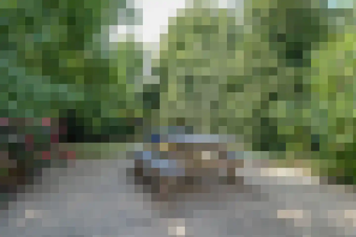 Mientweg 56 Lutjewinkel thumbnail 68