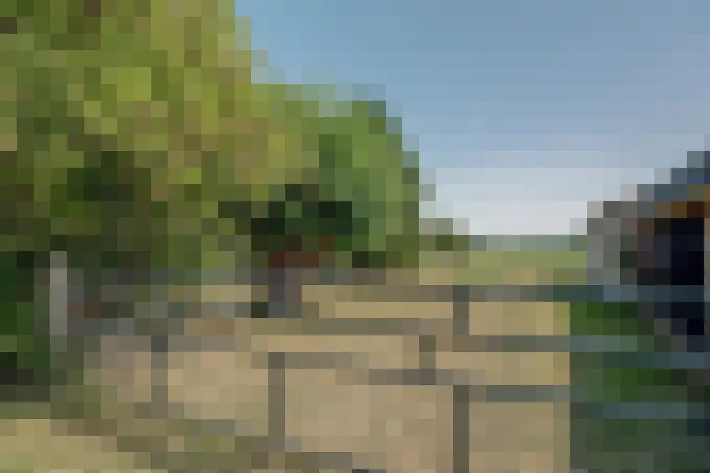 Mientweg 56 Lutjewinkel thumbnail 69
