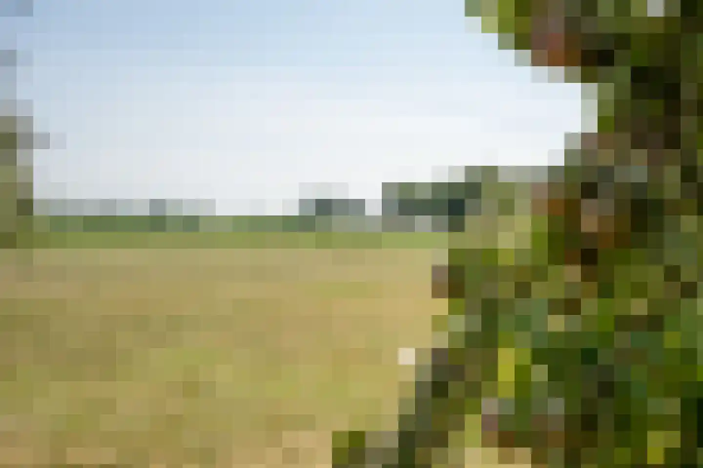Mientweg 56 Lutjewinkel thumbnail 71