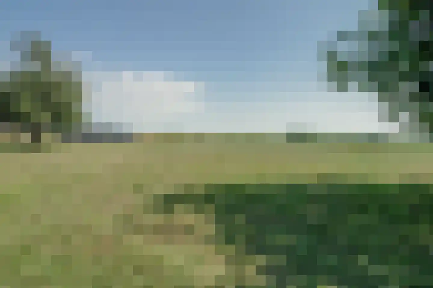 Mientweg 56 Lutjewinkel thumbnail 72