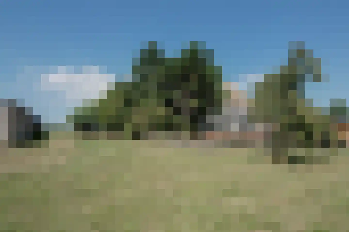 Mientweg 56 Lutjewinkel thumbnail 73