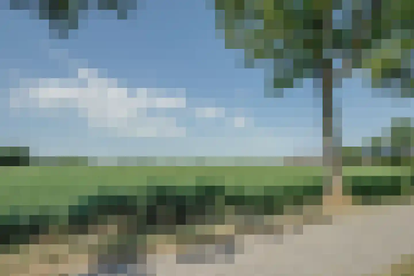 Mientweg 56 Lutjewinkel thumbnail 76