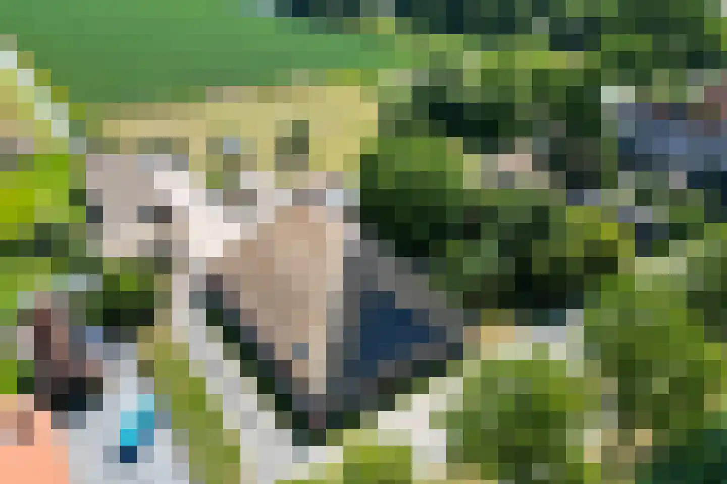 Mientweg 56 Lutjewinkel thumbnail 79