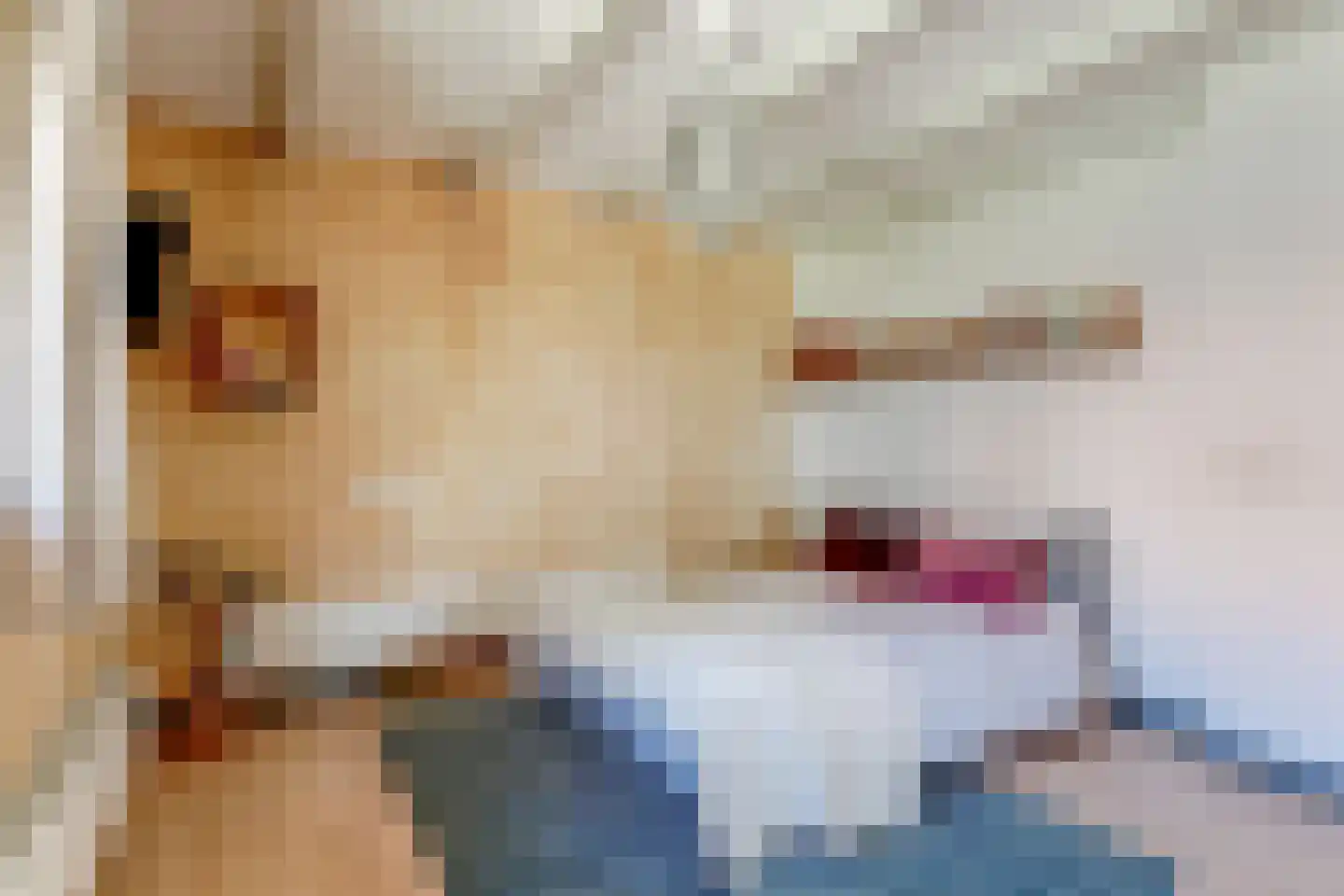Mientweg 56 Lutjewinkel thumbnail 9