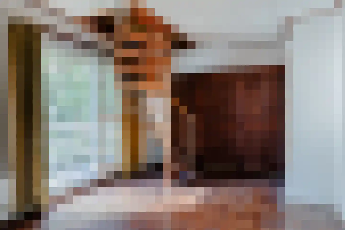 Mientweg 84 Lutjewinkel thumbnail 13