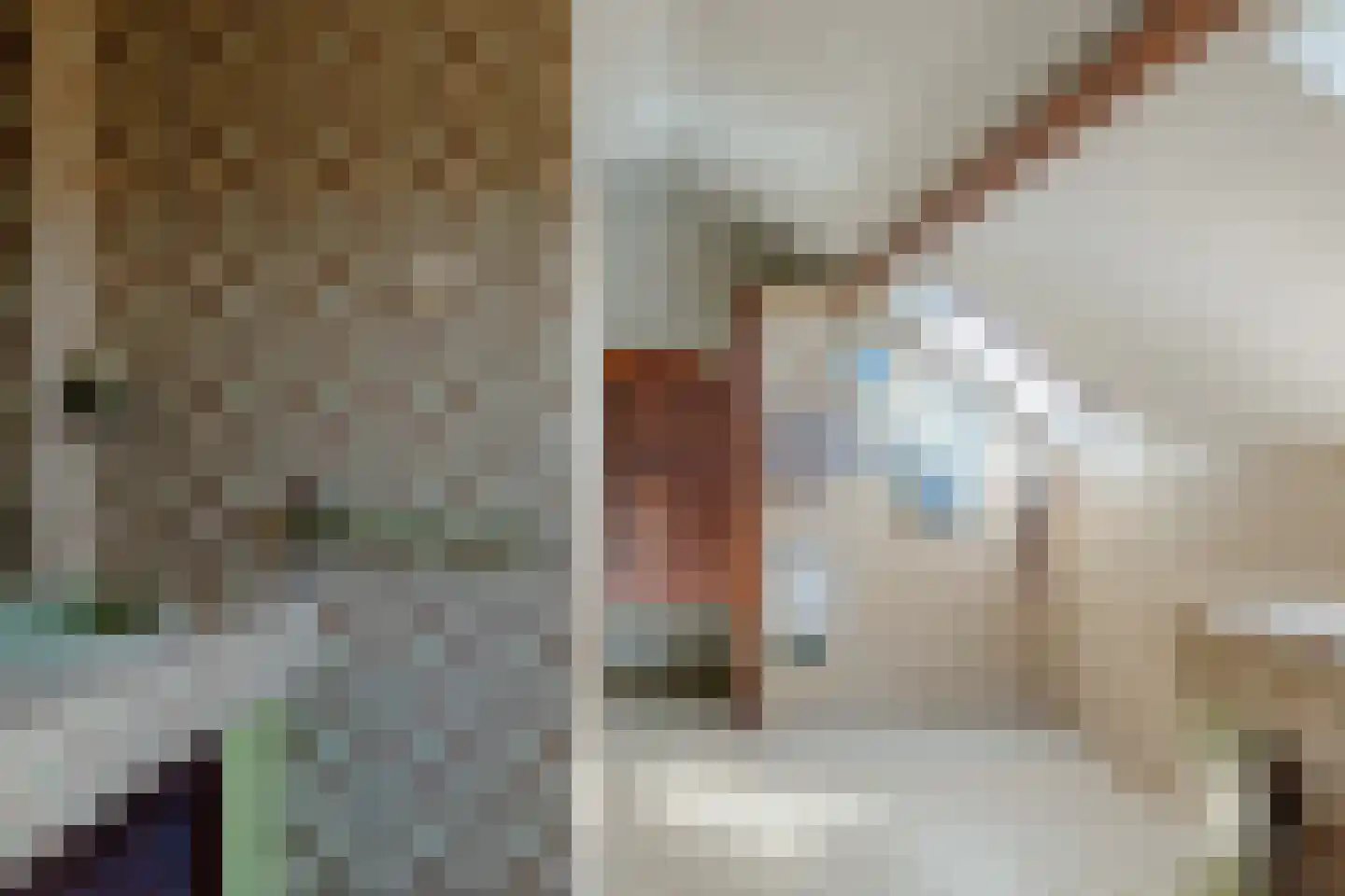 Mientweg 84 Lutjewinkel thumbnail 15