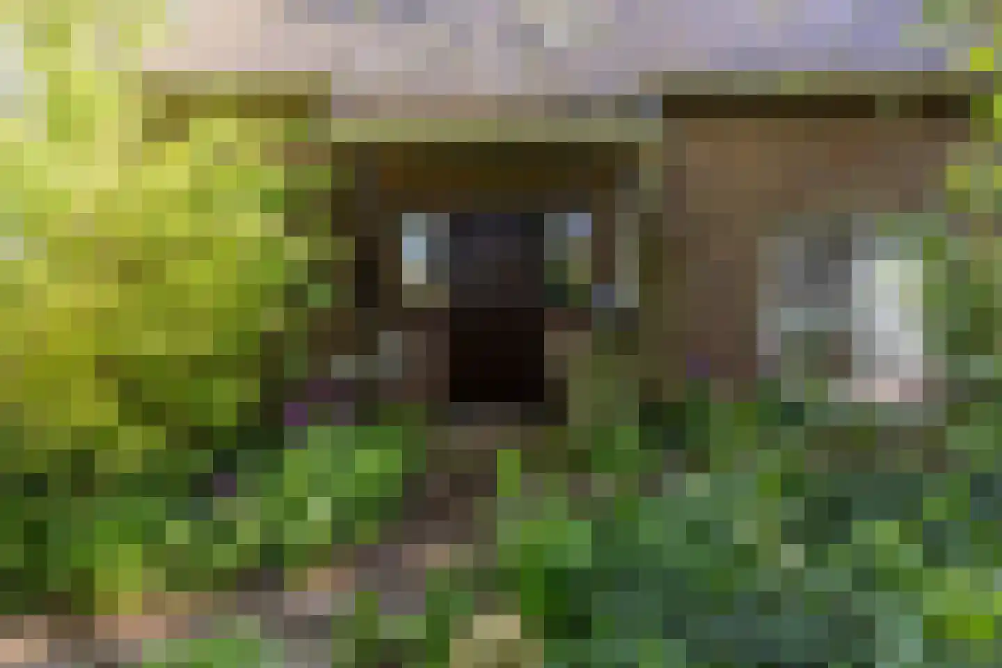 Mientweg 84 Lutjewinkel thumbnail 18