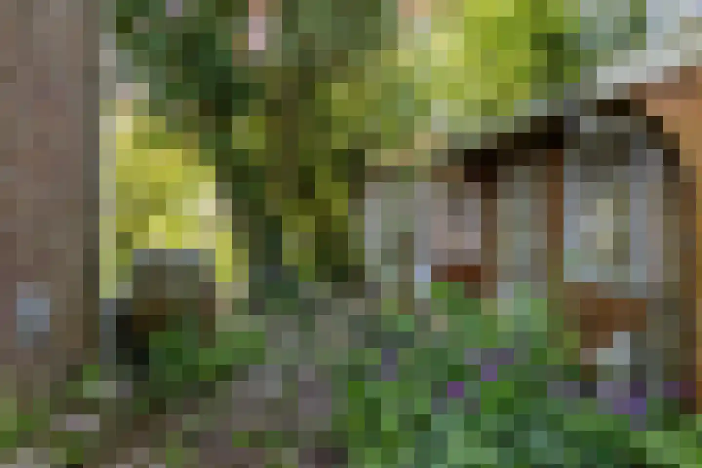Mientweg 84 Lutjewinkel thumbnail 20