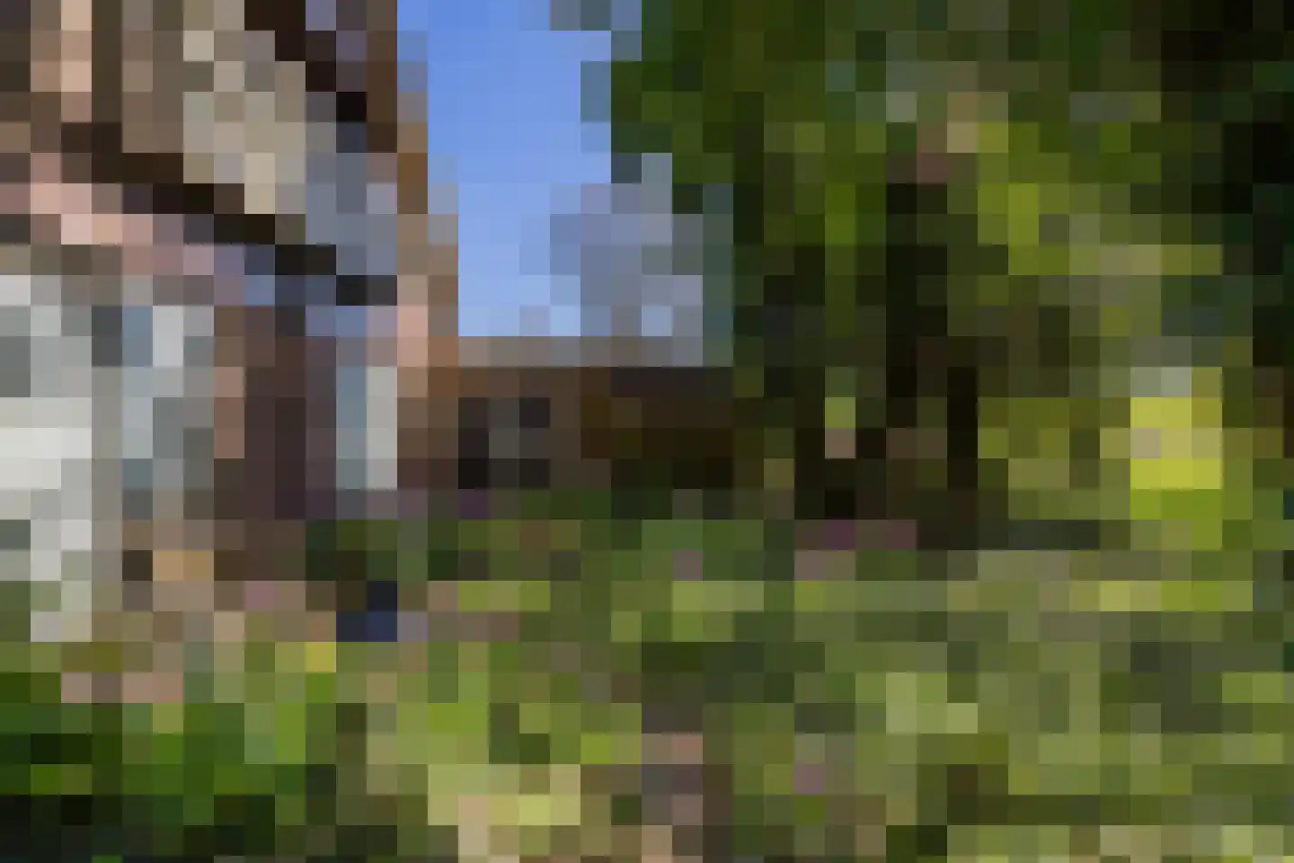Mientweg 84 Lutjewinkel thumbnail 21