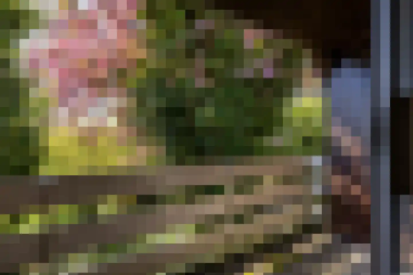 Mientweg 84 Lutjewinkel thumbnail 22