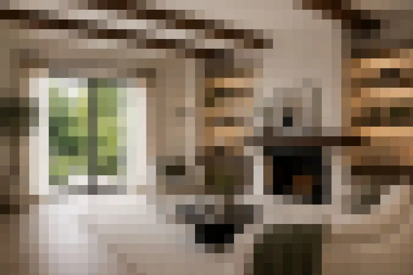 Mientweg 84 Lutjewinkel thumbnail 5