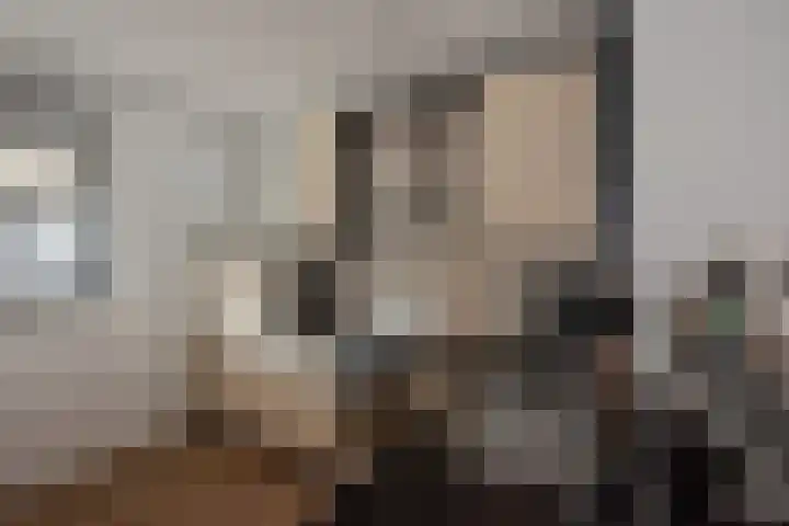 Mieogvaart 25 Den Haag thumbnail 15